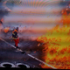 Illustration for article titled Bathurst 1000 Live Commentary: Drunk and Drunkerer
